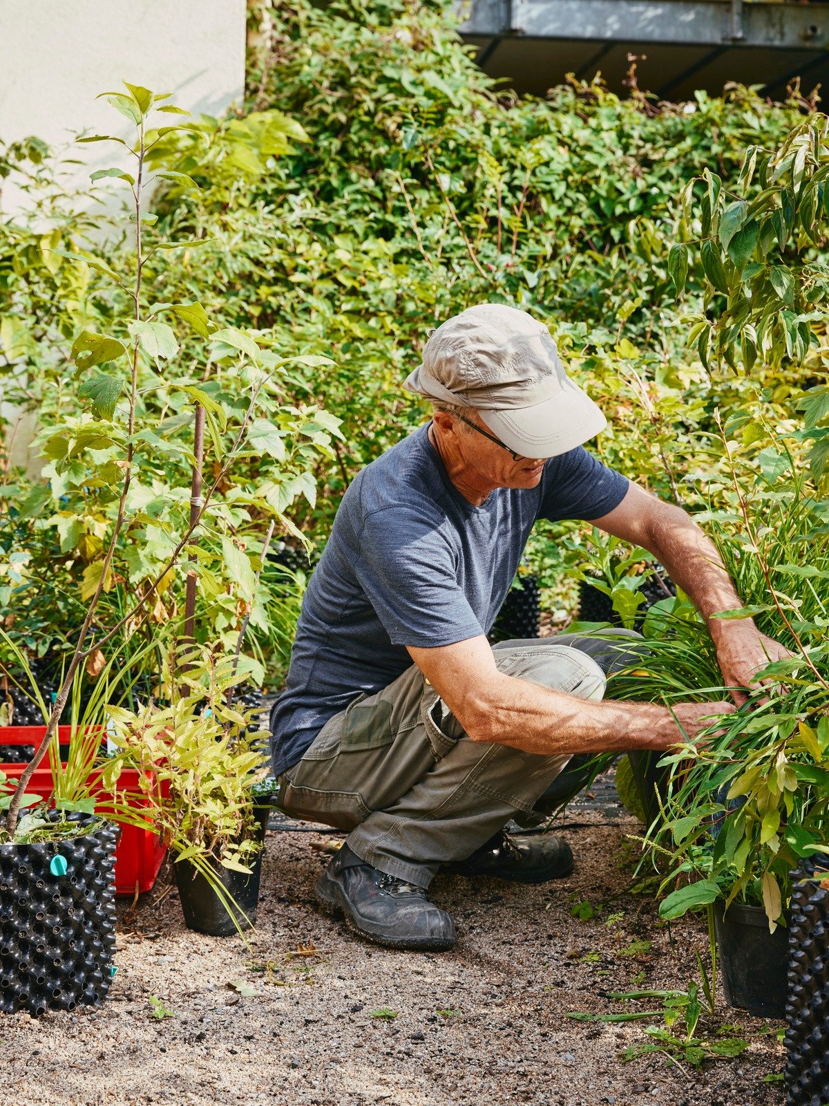 Rico pflanzt im Marmorgarten